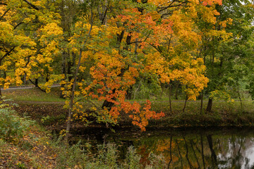 Obraz premium Autumn trees with yellow and orange foliage near paved park path and calm pond with reflection