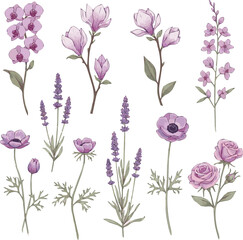 Create a Floral botanical set with purple and pink flowers on tall stems, watercolor isolated design elements, delicate plants for invitation or greeting cards, wallpapers or nature. vector art.