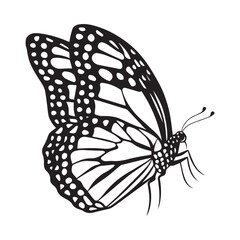 Monarch Butterfly Silhouette Vector. Black and White Insect Icon.