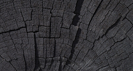 Fototapeta premium old wooden texture with black colored natural pattern as a background