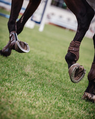 Close up of horse hooves in an arena - equestrian sport