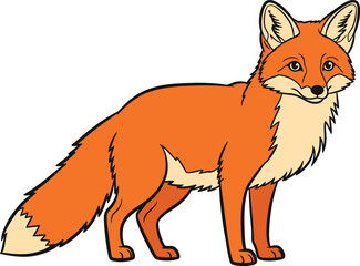 Red Fox Cartoon vector Illustration