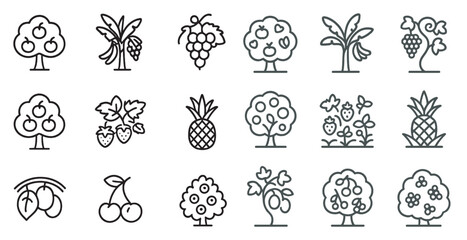 Fruit and nature outline icons set – linear, line, organic and ecological symbols