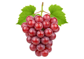 Fototapeta premium Red Grapes Bunch Fresh Ripe Fruit Healthy Organic Food Isolated