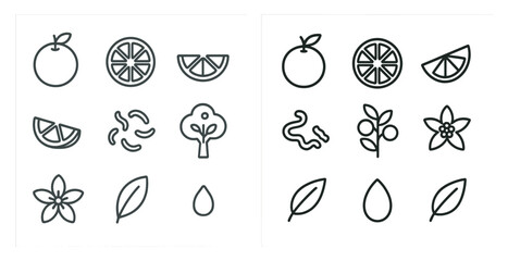 Nature and fruit outline icons set – flora, plant, organic symbols