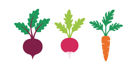 Illustrations of vector icons featuring beets, radishes, and carrots with their tops and leaves. A colorful depiction of table vegetables. Flat icons showcasing fresh organic garden veggies with leave