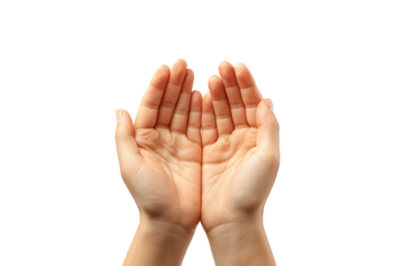 Open human hands cupped together reaching upwards isolated on transparent background