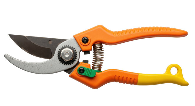 Isolated pruning shears with orange handles for gardening, tool used for cutting shrubs