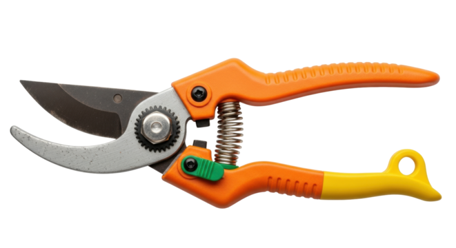 Isolated pruning shears with orange handles for gardening, tool used for cutting shrubs
