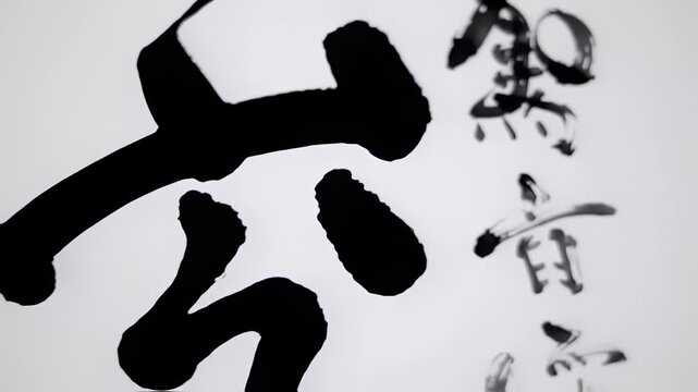 Abstract ink calligraphy on a white backdrop, featuring bold black strokes and subtle blurred details