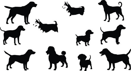 Various dog breed silhouettes collection vector, domestic pet animal illustration set, black dog outline shapes isolated on white background for design and decoration