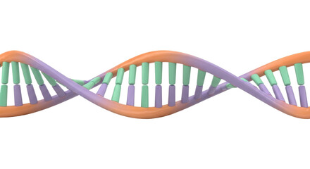 Isolated DNA molecule model shows double helix, genetic code concept, genetics, medicine