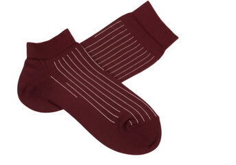 Isolated pair of striped burgundy socks for men or women for comfort and fashion style
