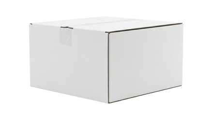 Isolated cardboard box for packaging, shipping and delivery, blank space for branding