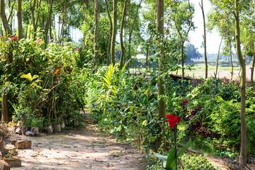 Fototapeta premium Discover a vibrant garden path surrounded by lush greenery and red flowers, perfect for nature lovers and peaceful escapes into a tranquil landscape