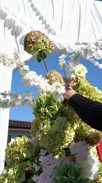 Florist adds eustoma flower to Elegant wedding arch on podium with fabric, beads, candles, tiers and romantic flower arrangement in white and green tones. Summer windy atmosphere.
