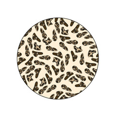  illustration of healthy bones , normal bone condition, Vector for medical, clinical, or educational posters.