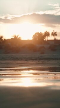 Silhouette of bare feet and legs strolling along a sunlit shoreline at golden hour, palm trees backlit by warm sunset creating a tranquil, cinematic beach scene