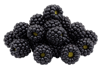 Isolated pile of fresh, ripe blackberries, close up view – healthy, organic, seasonal food