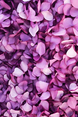 Obraz premium Lilac Petals Textured Purple Floral Petals Closeup