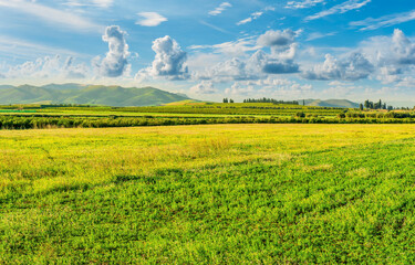 Scenic view at beautiful spring or summer sunset in a shiny meadow with golden grass and sun rays, deep beautiful cloudy sky and road, valley landscape