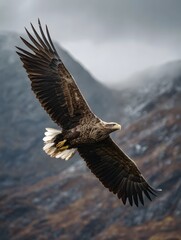 A majestic eagle soars through cloudy skies above rugged mountain peaks its powerful wings spread wide in flight