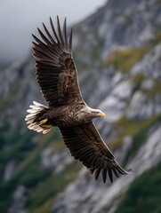 A powerful eagle soars through cloudy skies above rugged mountain peaks displaying its magnificent wingspan and intense focus