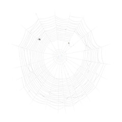 Obraz premium A delicate spider web, intricately woven with radial and circular threads, against a white background.