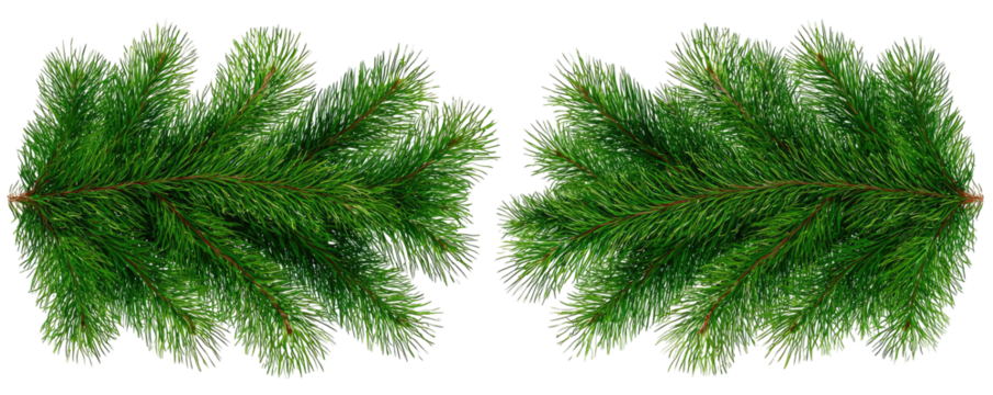 Two symmetrical, detailed images of green, leafy sprigs set against a solid, black background