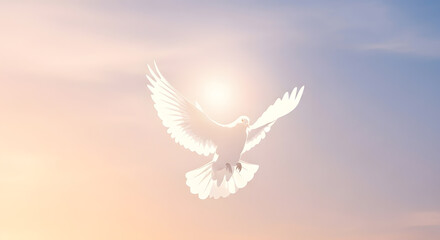 Silhouette of White Dove Against Glowing Sky, Symbol of Peace and Freedom