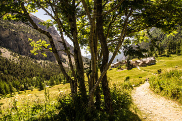 Obraz premium Claree Valley,nevache,hautes alpes