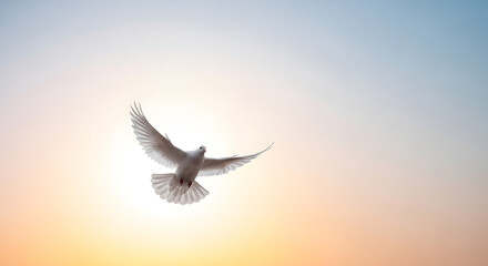Minimalist Dove Silhouette in Warm Sky, Representation of Peace and Unity