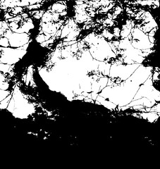 Grunge botanical silhouette of chaotic climbing vines in vector. Background with dark gothic atmosphere for Halloween graphics. Mythical ancient forest isolated illustration