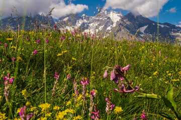 pass of lautaret,hautes alpes,france