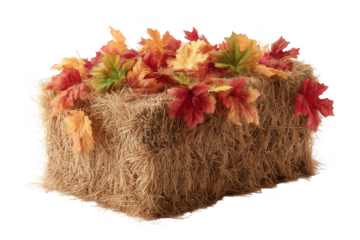 Rectangular hay bale adorned with colorful autumn maple leaves isolated on a transparent background straw