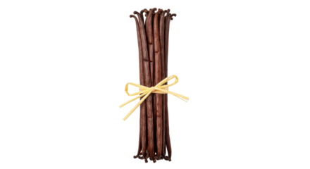 Isolated bundle of aromatic vanilla beans tied with raffia, gourmet spice flavor enhancer