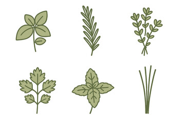 Minimalist design elements featuring various aromatic kitchen herbs and garnishes