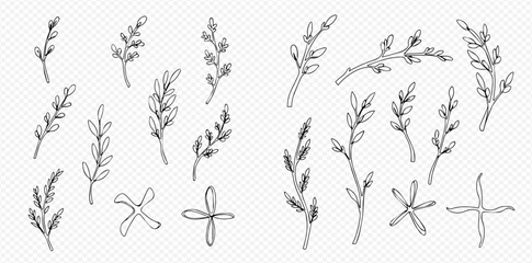A collection of hand-drawn botanical elements including branches, twigs, leaves, and buds, with some abstract floral shapes.