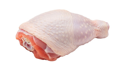 Isolated raw chicken leg, poultry meat with skin ready for cooking or frying, tasty food