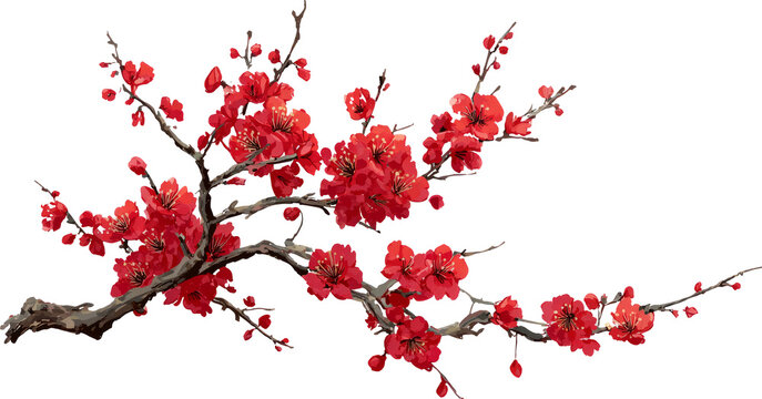 Serene red plum blossom flower branch with asian aesthetic style