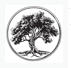 tule tree vector illustration