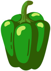 Green Bell Pepper Illustration. Editable Color Vector