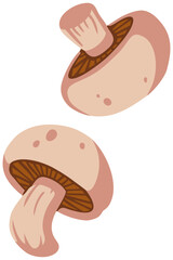 Two Champignon Mushrooms Illustration. Editable Color Vector