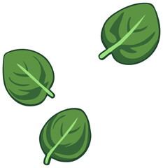Three Spinach Leaves Illustration. Editable Color Vector