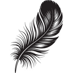 Obraz premium Vector art of black feather