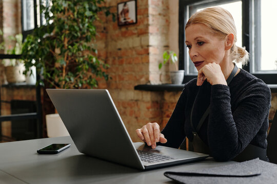 Horizontal medium portrait of elegant senior woman wearing fashionable goth clothes sitting at desk in modern loft office searching data on laptop