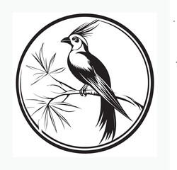 elegant bird of paradise vector image
