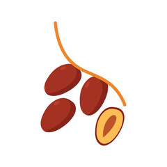 Minimalist vector illustration of ripe brown dates on a stem, one split open showing the seed inside. Simple flat design, isolated on white background for food, nutrition, and healthy diet themes.