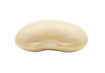 Isolated small cream-colored bean, kidney bean, or navy bean on a solid background