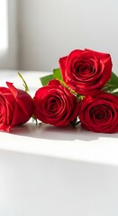 Four vibrant red roses lying on a white surface with natural light